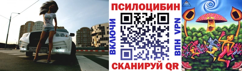 Псилоцибиновые грибы мухоморы  Купить где  Зубцов 