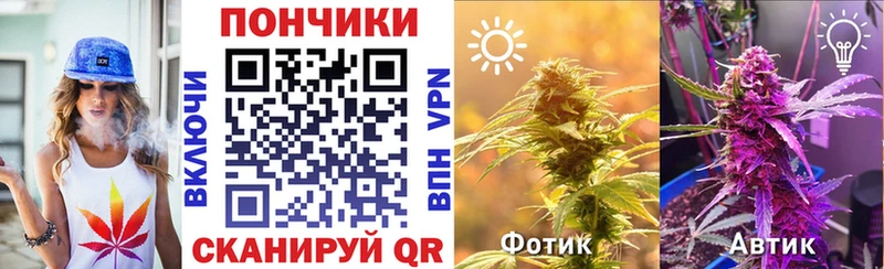 Канабис конопля  Купить закладки  Зубцов 
